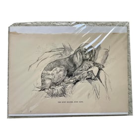 1950s Vintage Print of Spaniel