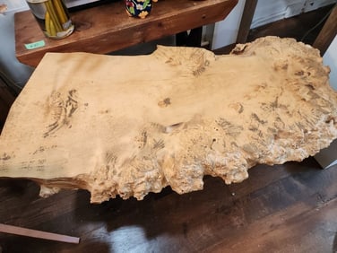 Contemporary organic and sculptural Designed Live Edge Burl Coffee Table w/ mid-century paperclip