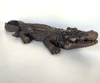 Bronze Aligator