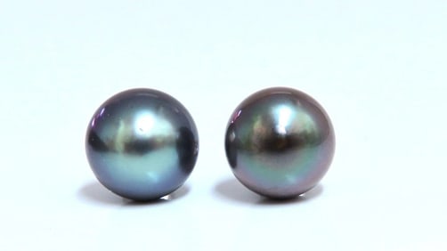 9.5mm Tahitian Pearl Stud Earrings 14kt