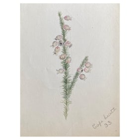 Fine Antique British Botannical Plant Watercolour Painting, circa 1900's, circa 1900s