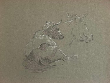 John Rabone Harvey; British Chalk Pencil Sketche of A Bull Lying Down and Face Sketch, 1966