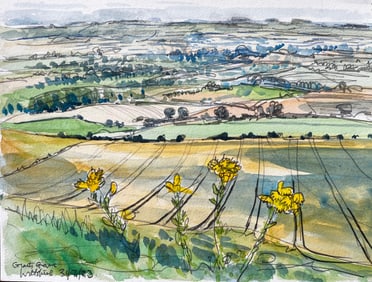 John Steane (b.1931); Great Givendale Yorkshire Landscape View with Wildflowers British Watercolor,