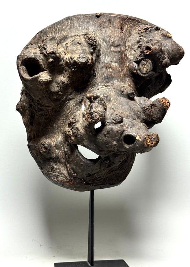 Rare large mask made of tree root, Nepal: Spectacular mask made from an old tree root. Very rare and beautiful object! Made of dense hardwood. The organic structure of the root is now the mask with minimal interventions. This is mainly the ma