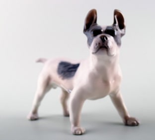 B&G, Bing & Grondahl, English bulldog # 1452/1457.