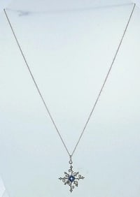 Cathy Waterman Platinum Aquamarine Snowflake Pendant Necklace