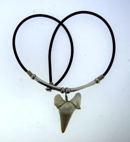 UNIQUE VINTAGE C.1960 NATURE NECKLACE LEATHER CORD PENDANT STAINLESS METAL