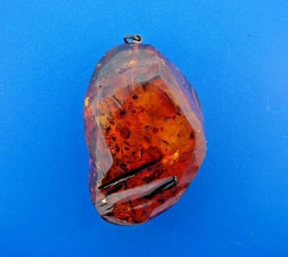 STUNNING Amber Pendant