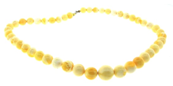 CHIC Baltic Amber Necklace