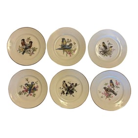 Mid Century Jkw Western Germany Porcelain Song Bird Plates, Set of 6