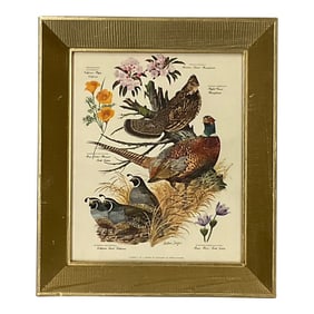 Vintage Americana Arthur Singer Lithograph, Flora & Fauna of Three States