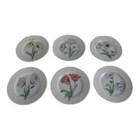 Contemporary Taste Setter Hand Painted Floral Dessert Round Plates - Set of 6