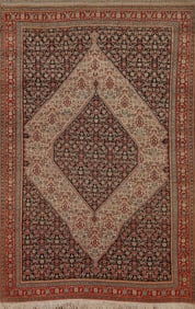 Pre-1900 Antique Vegetable Dye Senneh Persian Area Rug 5x6