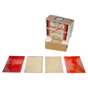 Antique Box of 4 Guilleminot Anecra Photo Plates