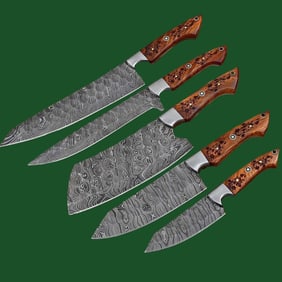Wood Handle Damascus Steel Knives Chef's Set of 5