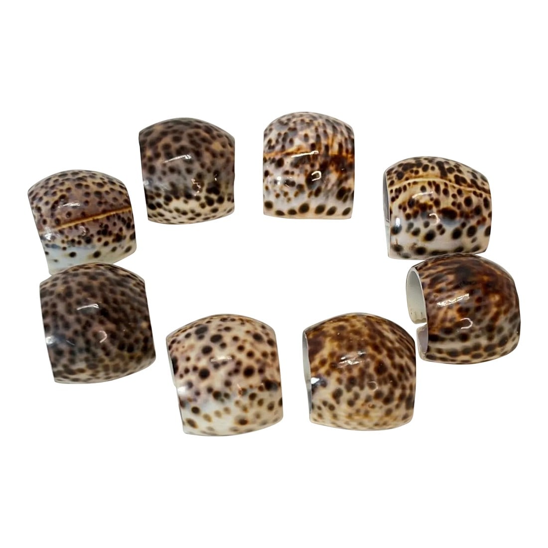 Mid Century Natural Tiger Shell Napkin Rings - Set of 8 (1 of 4)