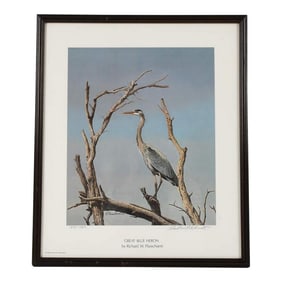 Framed Print of Richard W Plasschaert's "Great Blue Heron" Numbered 158/750