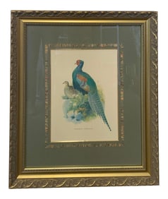 20th Century Japanese Pheasant Bird , Framed Green Matting