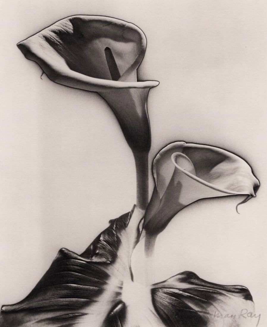 MAN RAY - Calla Lilies c.1930 (1 of 1)
