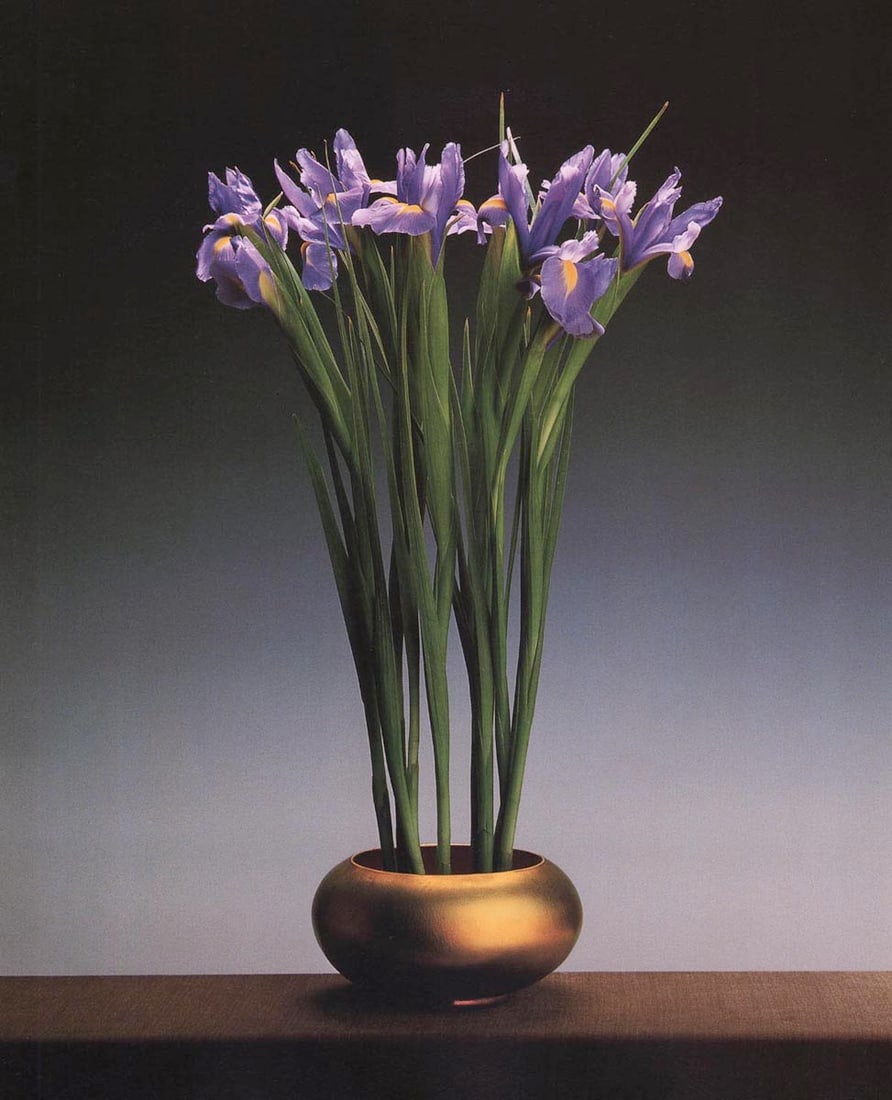 MAPPLETHORPE - Irises,1988 (1 of 1)