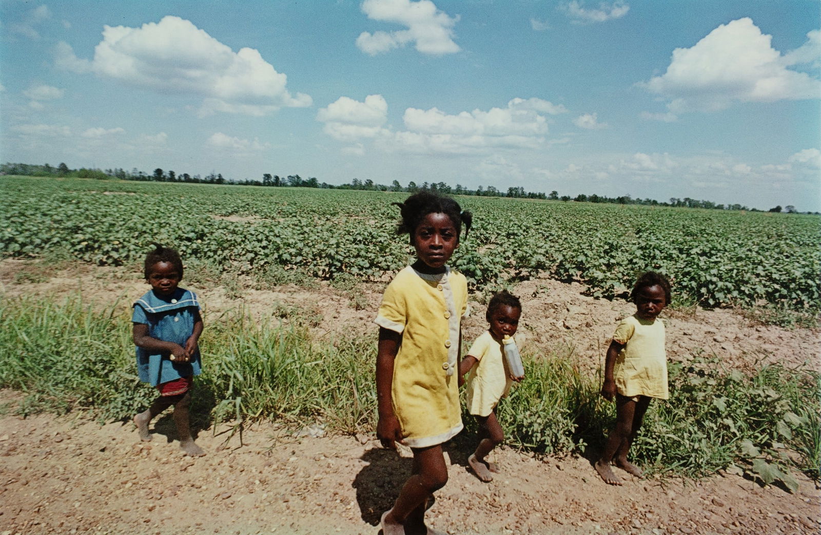 WILLIAM EGGLESTON UNTITLED PRINT: William Egleston Untitled Print measuring at 11.5x17.5 inches Reserve: $60.00 Shipping: Domestic: Flat-rate of $35.00 to anywhere within the contiguous U.S. International: Foreign shipping rates are d