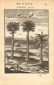 CELEBES SULAWESI. Coconut & fig trees. East Indies'Palmiers'. MALLET 1683