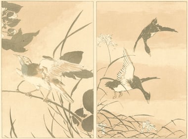 JAPAN. Anonymous study of Birds 1890 old antique vintage print picture