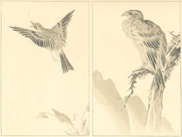 JAPAN. Two Birds. Anonymous Study 1890 old antique vintage print picture