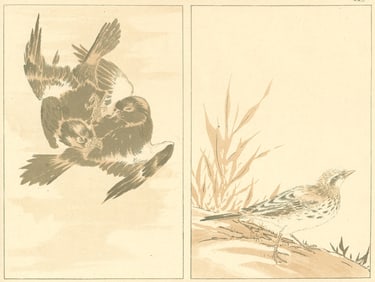 JAPAN. Birds 1890 old antique vintage print picture