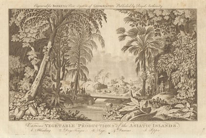 Tropical fruit & veg. Blimbing Dogs tongue Sago Durian Pepper. BANKES 1789