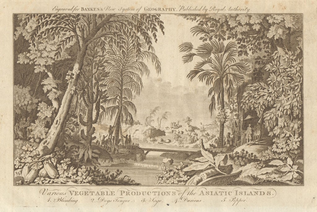 Tropical fruit & veg. Blimbing Dogs tongue Sago Durian Pepper. BANKES 1789 (1 of 1)