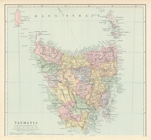 Tasmania in counties. STANFORD 1894 old antique vintage map plan chart