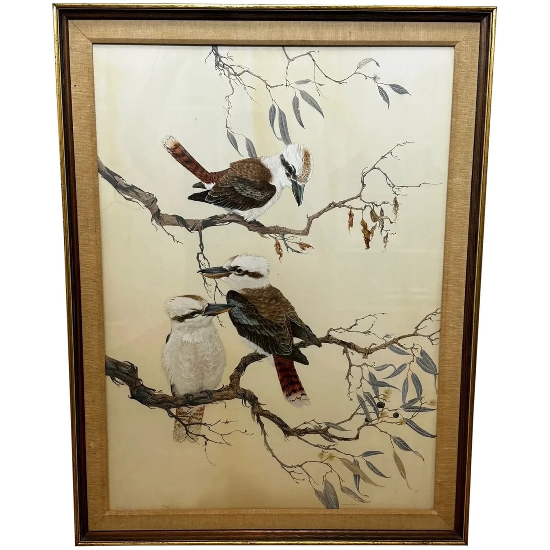 Large Australian Painting Group of Birds 3 Kookaburras In Bush by Robin Hill: Large Australian Painting Group of Birds 3 Kookaburras In Bush by Robin Hill Click image to enlarge Description Fine Large Australian Watercolour Painting — “Group of Birds 3 Ko