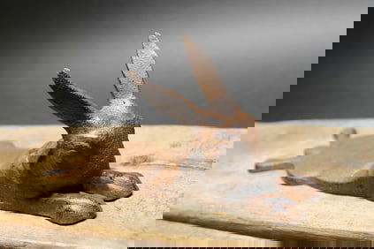 Cast Iron Door Stop Rabbit Hare Wedge Rust/Black