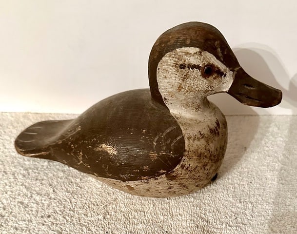 American Black Duck Decoy (1 of 7)