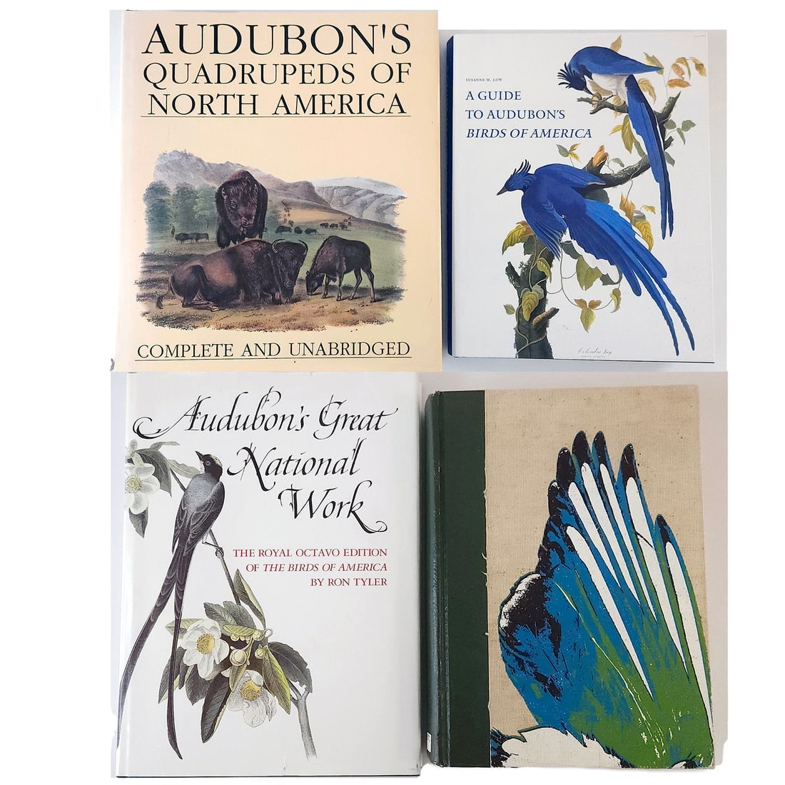 Four Fantastic Audubon Books Hardcover (1 of 19)