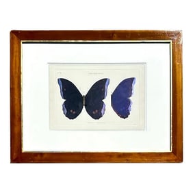 Vintage Butterfly Illustration Gouache on Paper