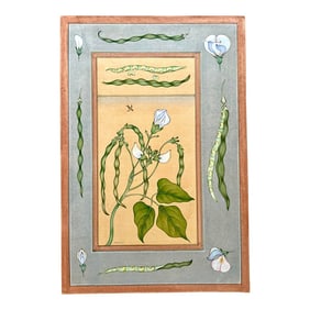 Mid 20th Century Vintage Indian Hand Painted Mughal Flower Painting of Pea Flower Plant