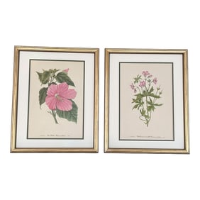 Framed Vintage Botanical Set of 2- Authentic 1953 Prints
