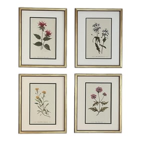 Framed Vintage Botanical Prints Set of 4 - Authentic 1964 Prints