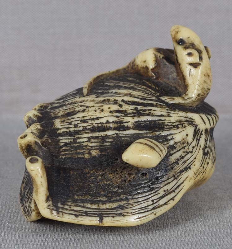 18 / 19c staghorn netsuke RAT on ABALONE: Late 18th to early 19th century staghorn netsuke of a rat lounging on a large abalone shell, and a small snail shell that attached itself to the larger one. Clever design utilizing natural texture of