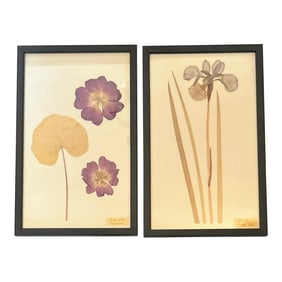 Vintage Framed Pressed Flowers, a Pair