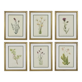Framed Vintage Botanicals Set of 6 -Authentic Vintage 1969 Prints