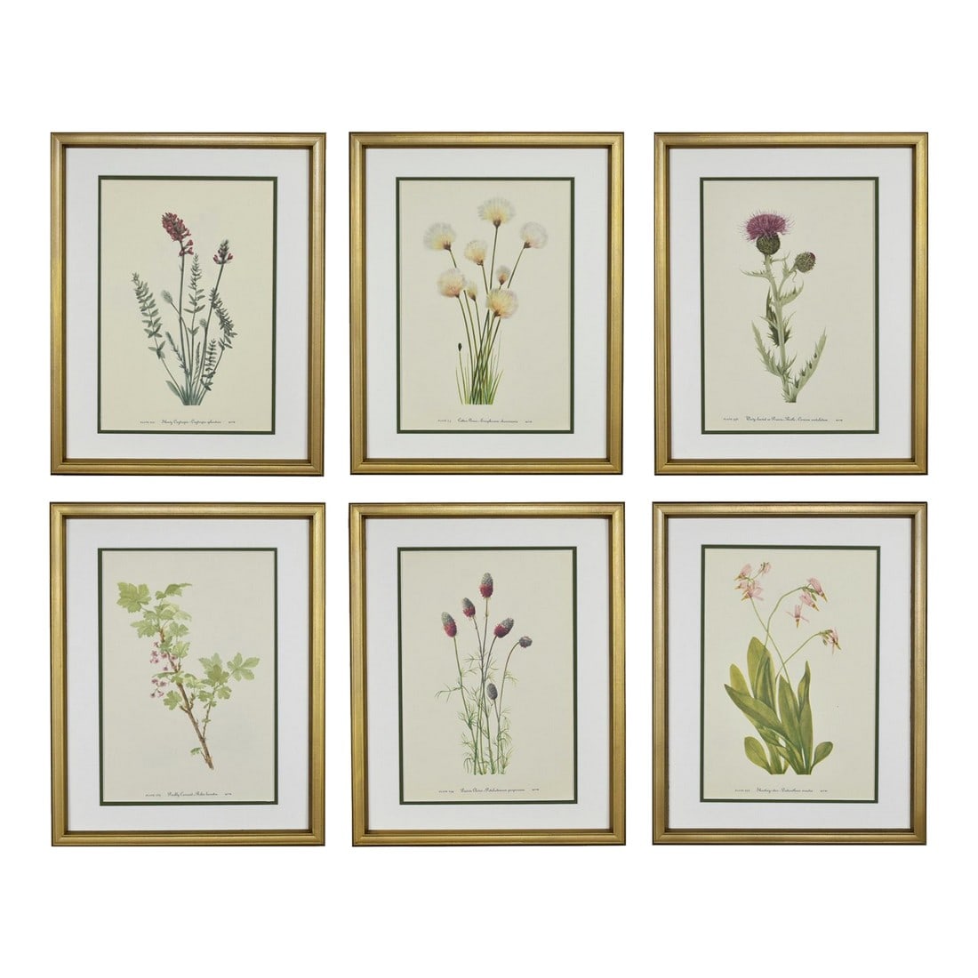 Framed Vintage Botanicals Set of 6 -Authentic Vintage 1969 Prints (1 of 4)