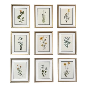 Framed Vintage Botanical Prints -Set of 9- Authentic Vintage 1960s Prints