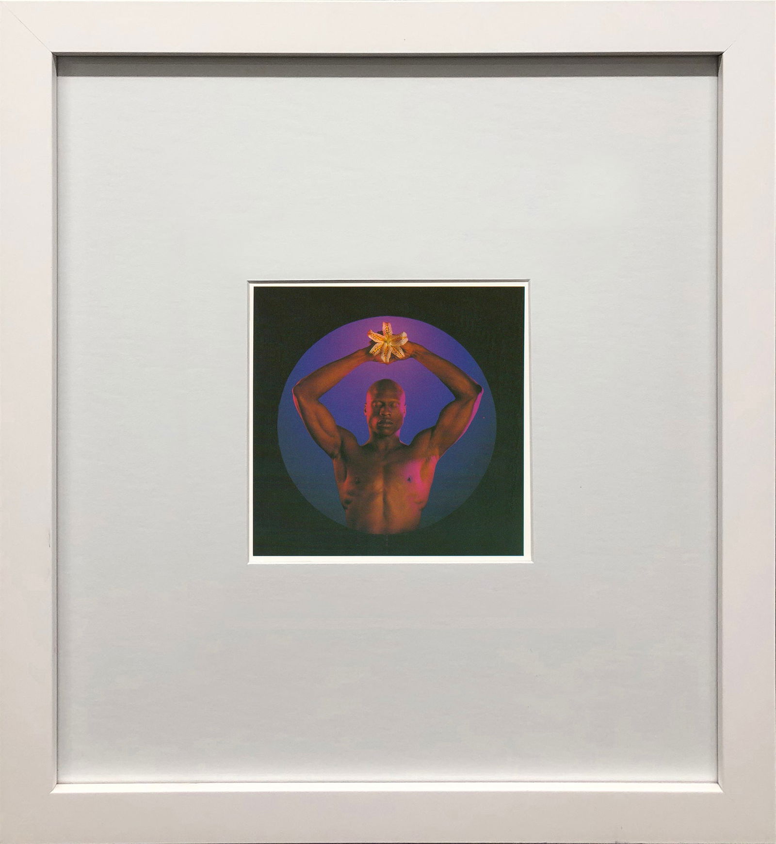 Robert Mapplethorpe - Ken Moody - 1994 Offset Lithograph 7" x 5" (1 of 4)
