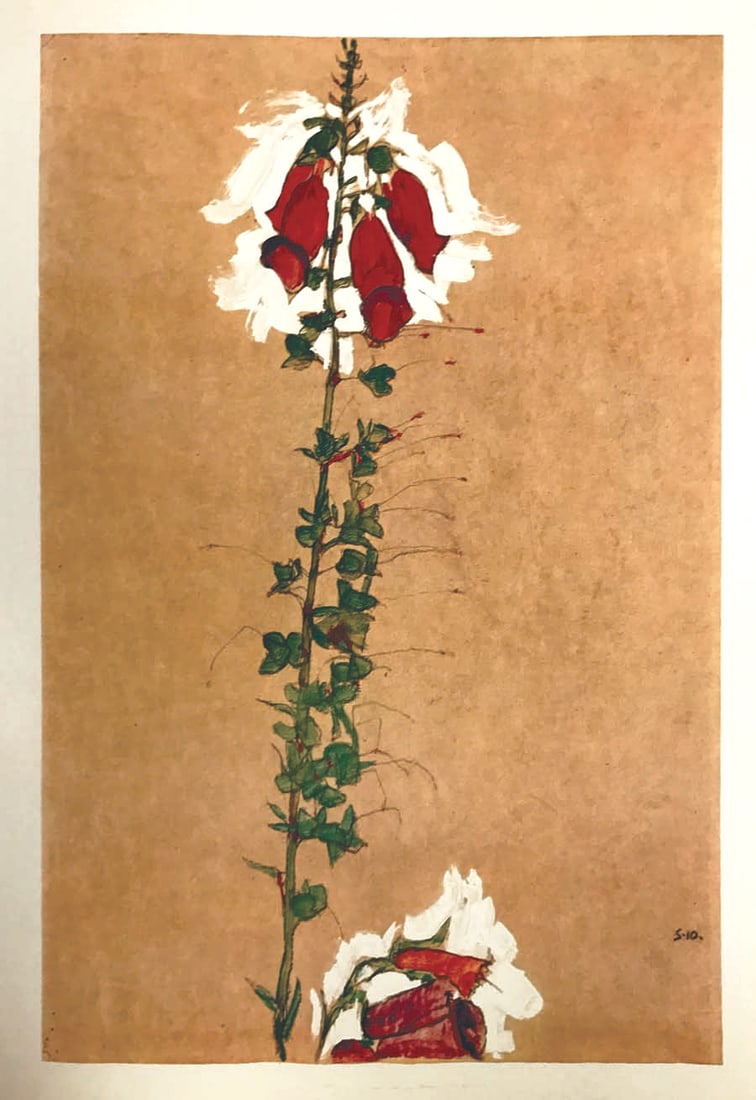 1968 Egon Schiele Lithograph 11 Red Foxglove (1 of 1)