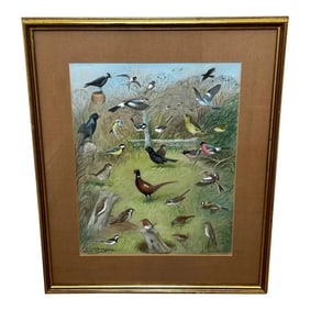 1970s British Watercolour Painting of Robin Jack Daw Thrush Swallow Bullfinch Flock Birds Gathered
