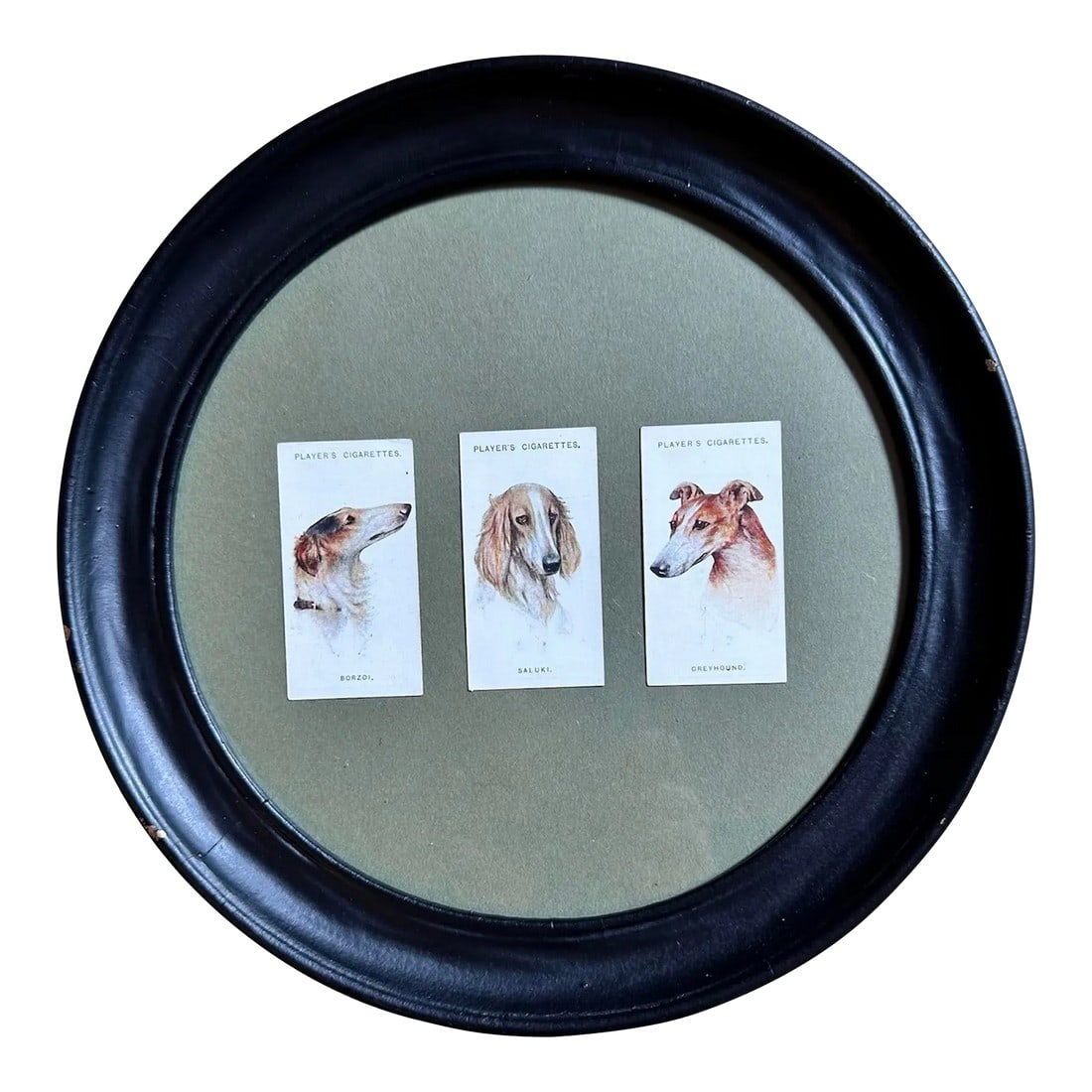 Vintage John Player Cigarette Cards Dogs Round Framed Art 1929: John Player Cigarette Cards 1929 from paintings by Arthur Wardle. Framed collection featuring 3 dog portraits: Borzoi, Saluki, and Greyhound. Vintage Black Circular Frame 10" round Good condition with