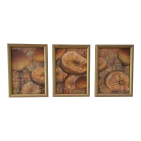 Signed Original Artwork Mushroom Toadstools Giltwood Framed Triptych